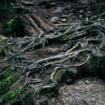 Para **cabelo oleoso na raiz e seco nas pontas**, o equilíbrio do tratamento envolve usar produtos específicos que purificam