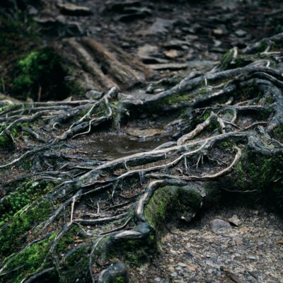 Para **cabelo oleoso na raiz e seco nas pontas**, o equilíbrio do tratamento envolve usar produtos específicos que purificam