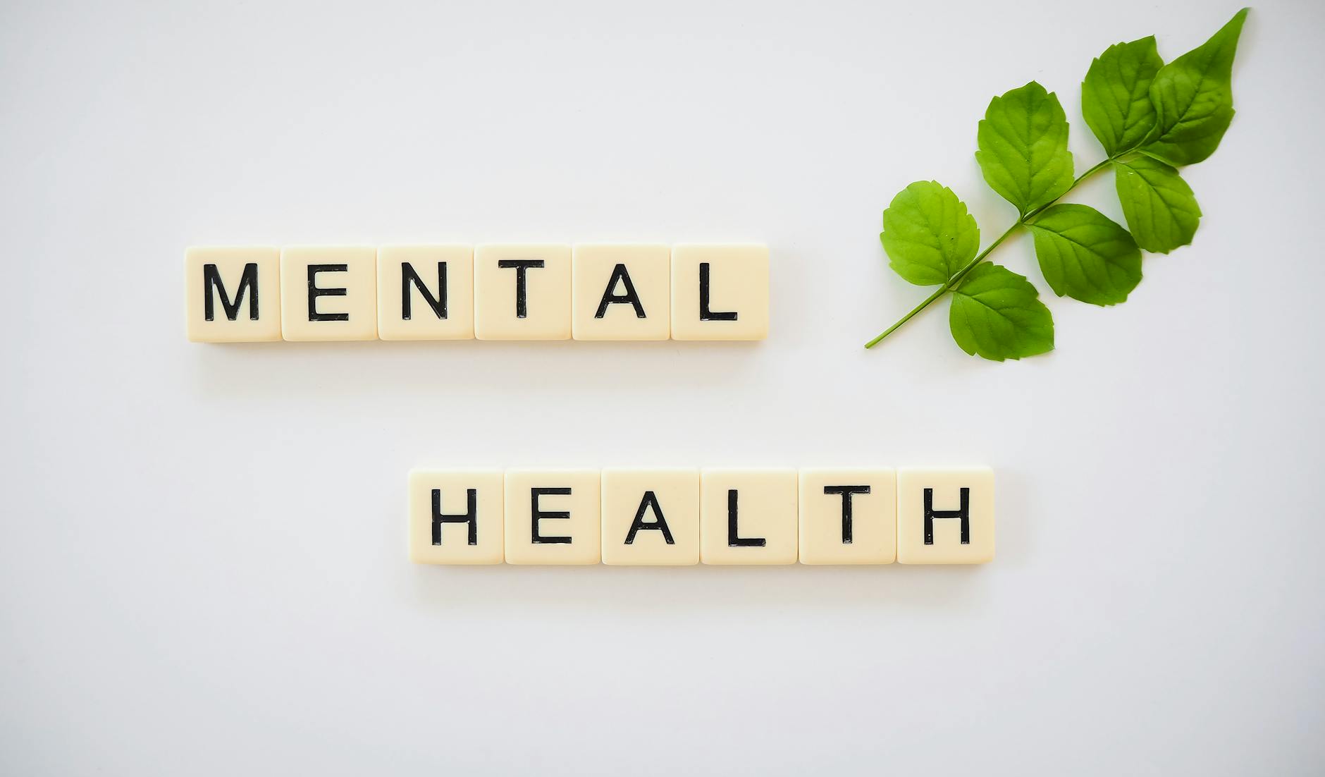 Saúde Mental e Beleza: O Guia Essencial para um Bem-Estar que Irradia — como cuidar da saúde mental e refletir na beleza | Ma